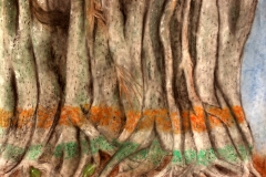 2018-D-006