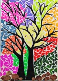 13-Years-Divisha-Kothari-Ahmedabad